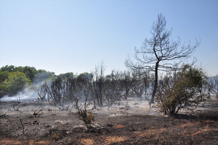 Antalya'da Çıkan Yangında 1 Hektar Orman Alanı Zarar Gördü