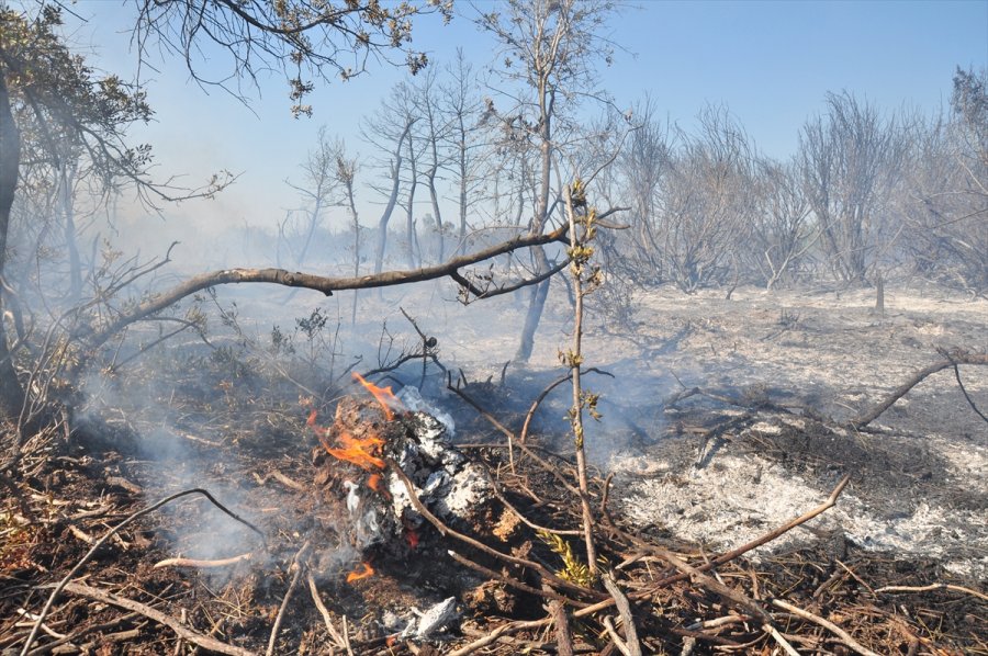 Antalya'da Çıkan Yangında 1 Hektar Orman Alanı Zarar Gördü