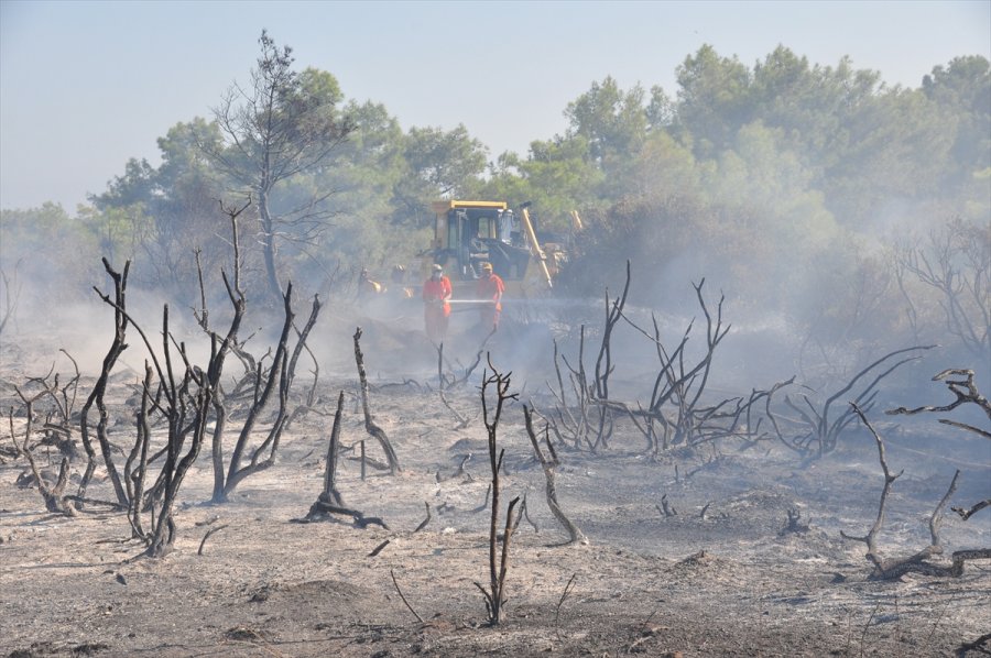 Antalya'da Çıkan Yangında 1 Hektar Orman Alanı Zarar Gördü