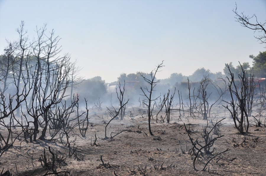 Antalya'da Çıkan Yangında 1 Hektar Orman Alanı Zarar Gördü