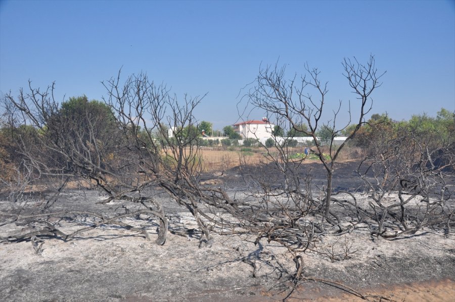 Antalya'da Çıkan Yangında 1 Hektar Orman Alanı Zarar Gördü
