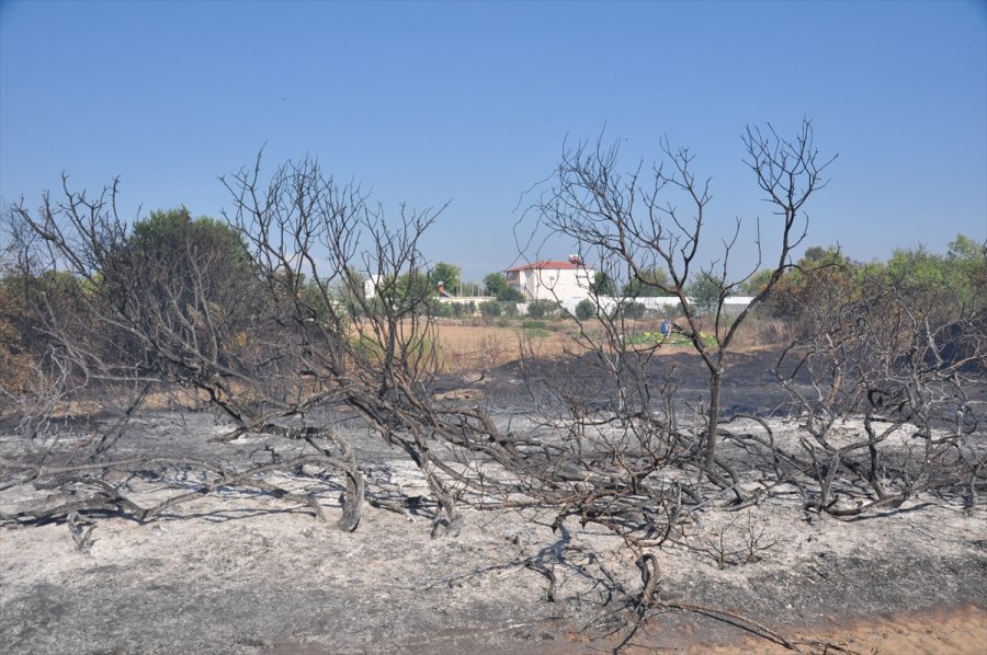 Antalya'da Çıkan Yangında 1 Hektar Orman Alanı Zarar Gördü