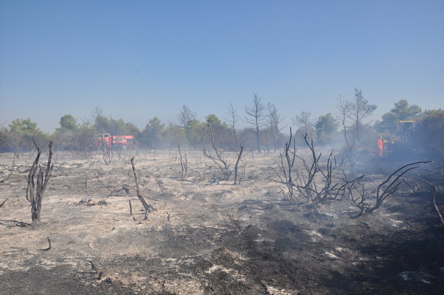 Antalya'da Çıkan Yangında 1 Hektar Orman Alanı Zarar Gördü