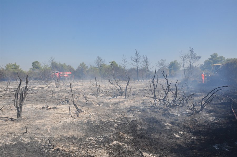 Antalya'da Çıkan Yangında 1 Hektar Orman Alanı Zarar Gördü