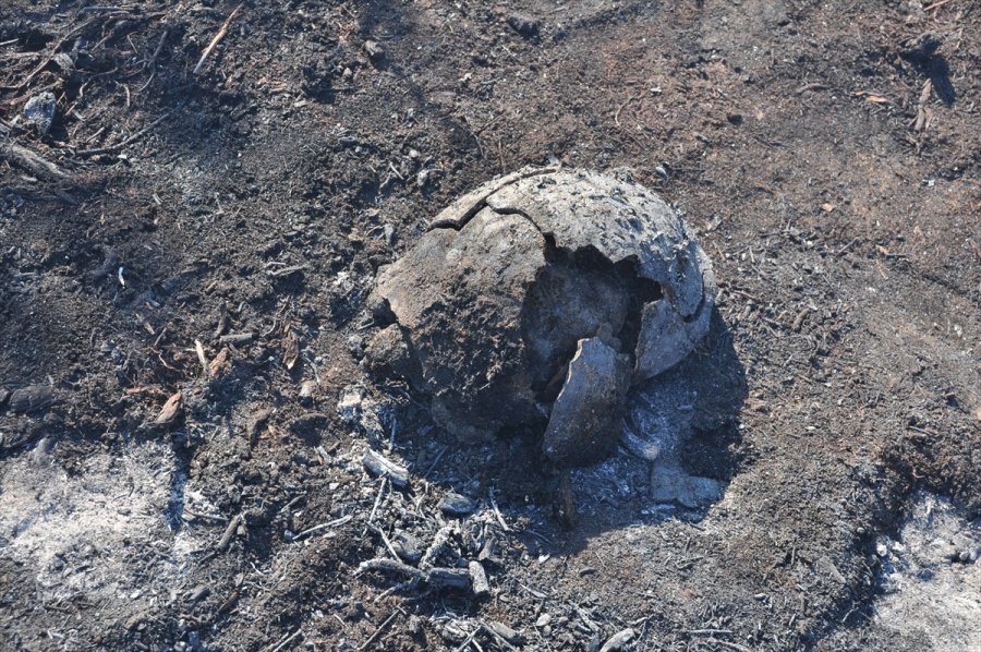 Antalya'da Çıkan Yangında 1 Hektar Orman Alanı Zarar Gördü