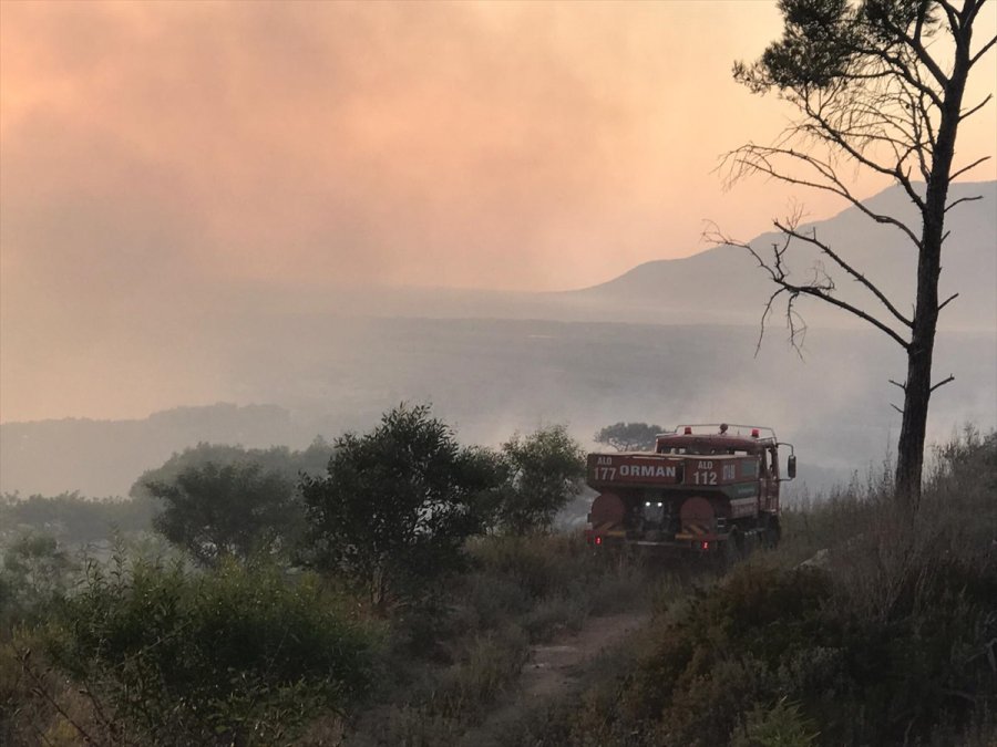 Antalya'da Sazlık Alanda Yangın