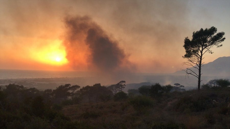 Antalya'da Sazlık Alanda Yangın