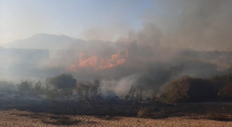 Antalya'da Sazlık Alanda Yangın