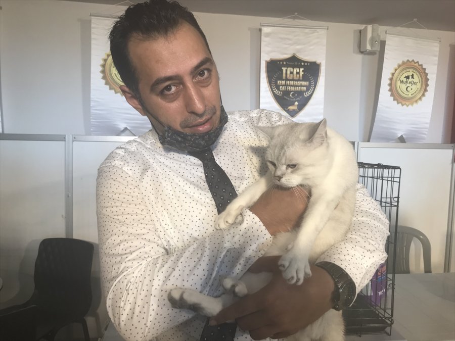 Hayvanseverleri Buluşturan Fuar Antalya'da Açıldı