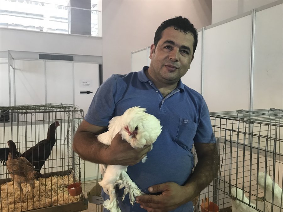 Hayvanseverleri Buluşturan Fuar Antalya'da Açıldı