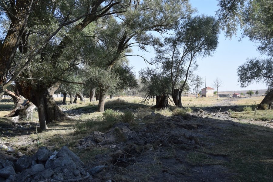 Kuruyan Pınarlara Güneş Enerjisiyle Su Veriyorlar