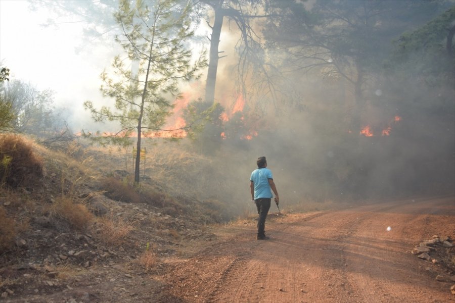Antalya'da Çıkan Orman Yangınına Havadan Ve Karadan Müdahale Ediliyor
