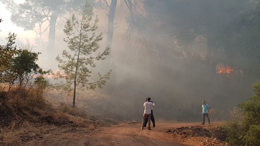 Antalya'da Çıkan Orman Yangınına Havadan Ve Karadan Müdahale Ediliyor