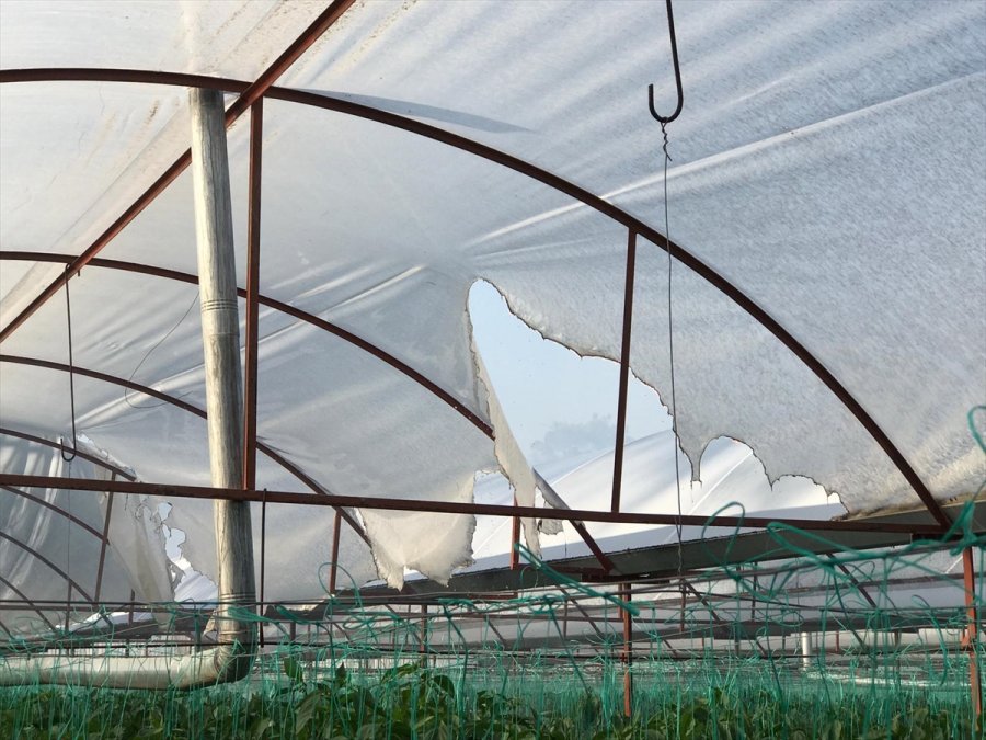 Antalya'da Seralara Da Sıçrayan Orman Yangınına Müdahale Ediliyor