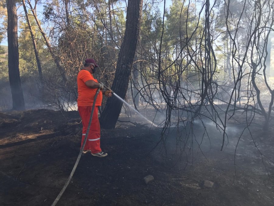 Antalya'da Seralara Da Sıçrayan Orman Yangınına Müdahale Ediliyor
