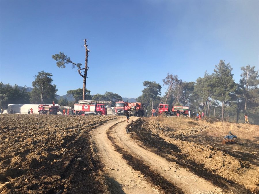 Antalya'da Seralara Da Sıçrayan Orman Yangınına Müdahale Ediliyor