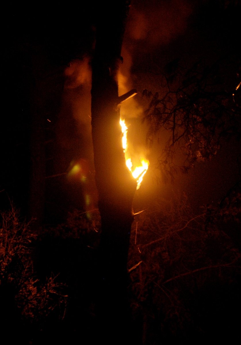 Güncelleme - Antalya'da Çıkan Orman Yangınına Müdahale Ediliyor
