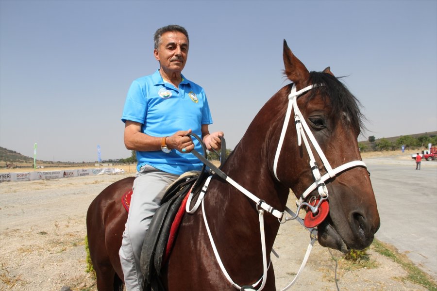 Atlı Dayanıklılık Yarışmalarının 