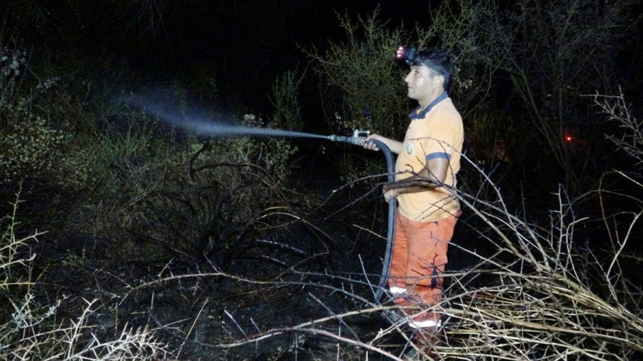 Erdemli'de Çalılık Alanda Yangın
