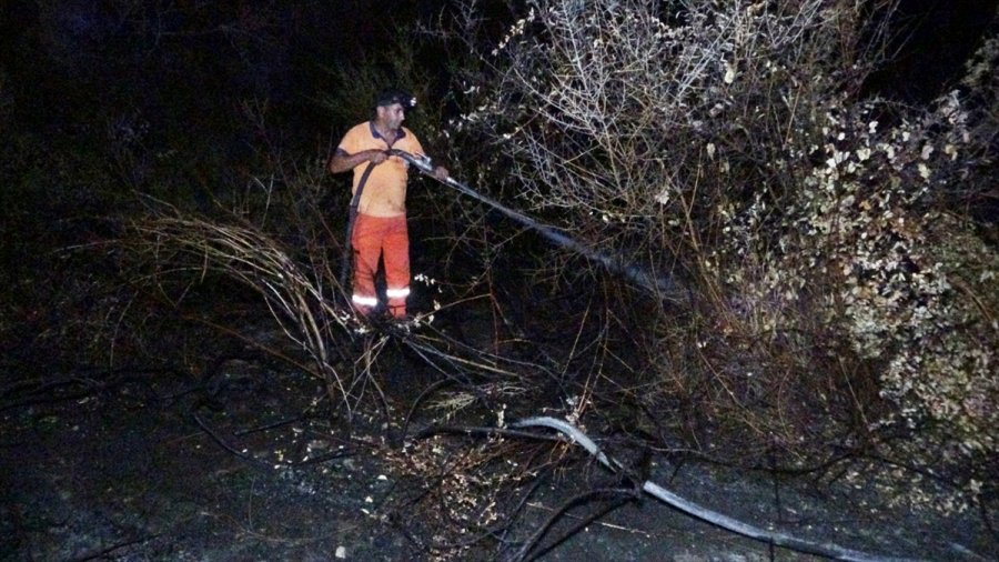 Erdemli'de Çalılık Alanda Yangın