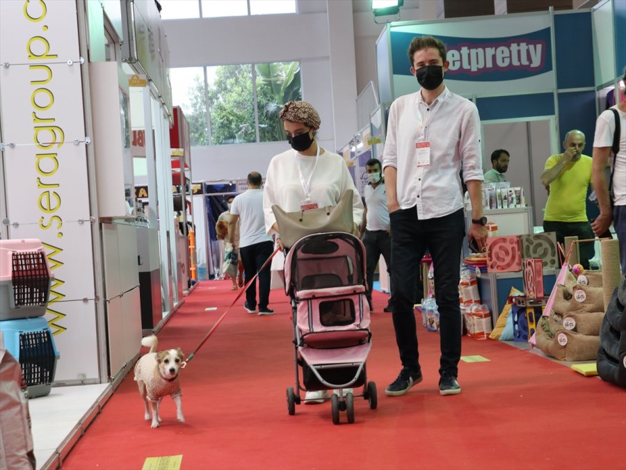 Antalya'da Hayvanseverlerin Buluştuğu 