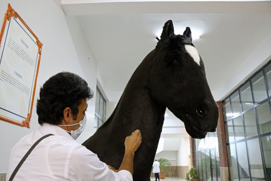 Akademisyenlerin Öğrenciler İçin Tasarladığı Sığır Ve At Gerçeğini Aratmıyor