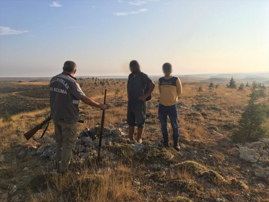 Karaman'da Kaçak Avcılara Ceza