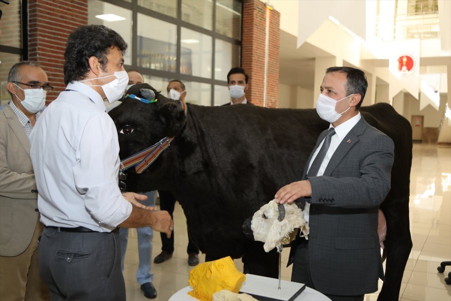 Kayseri'den Kısa Kısa