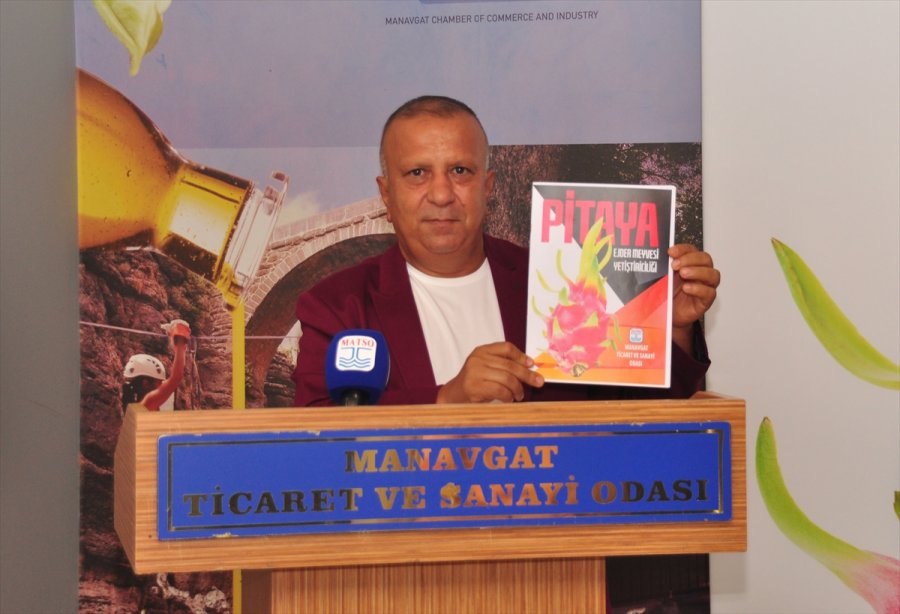 Matso, Üreticiler İçin Ejder Meyvesi Raporu Hazırladı