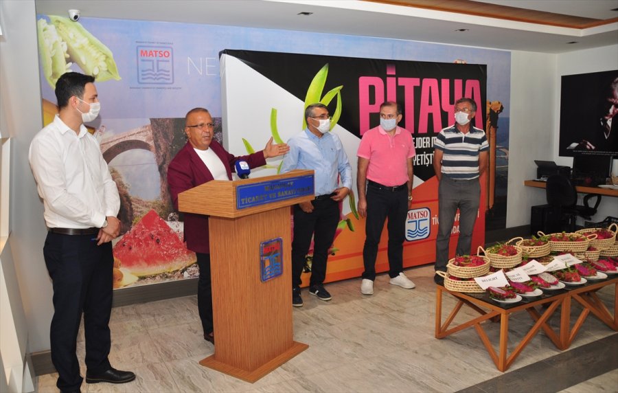 Matso, Üreticiler İçin Ejder Meyvesi Raporu Hazırladı