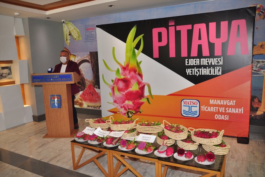 Matso, Üreticiler İçin Ejder Meyvesi Raporu Hazırladı