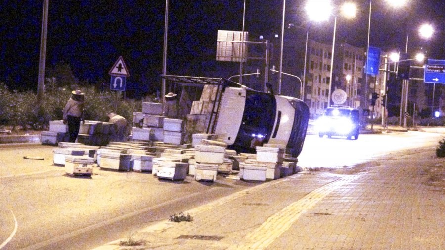 Mersin'de Arı Kovanı Taşıyan Kamyon Kaza Yapınca Arılar Etrafa Saçıldı