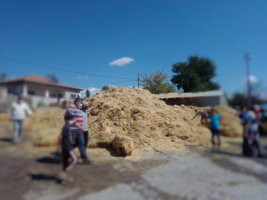 Tomarza'da 850 Saman Balyası Yandı