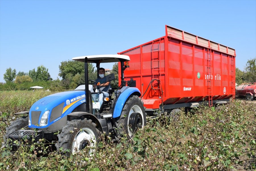 Antbirlik Kütlü Pamuk Alım Fiyatını 4 Lira 50 Kuruş Olarak Açıkladı