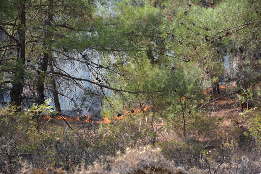 Eskişehir'de Otomobilde Çıkan Yangın Ormanlık Alana Sıçradı