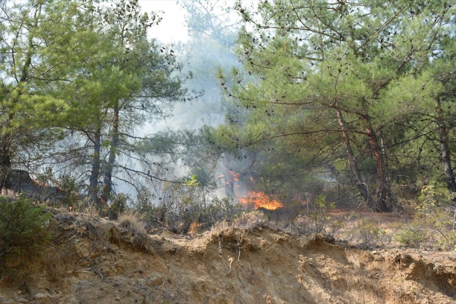 Eskişehir'de Otomobilde Çıkan Yangın Ormanlık Alana Sıçradı