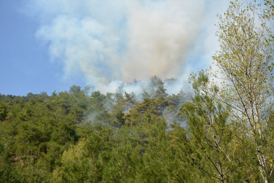 Eskişehir'de Otomobilde Çıkan Yangın Ormanlık Alana Sıçradı