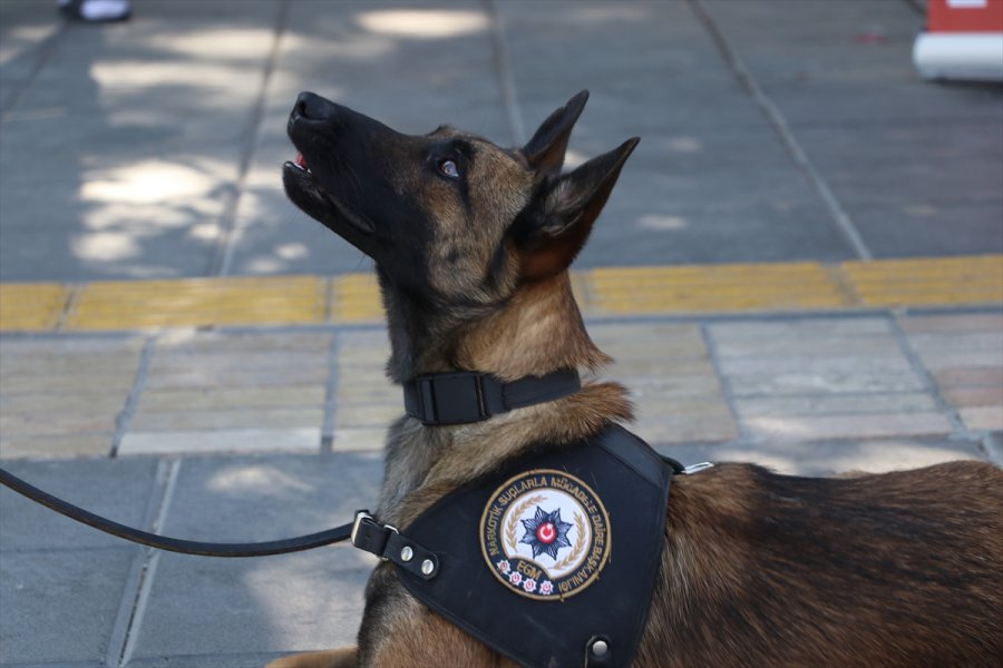 Kayseri'de Uyuşturucuyla Mücadele Çalışmaları