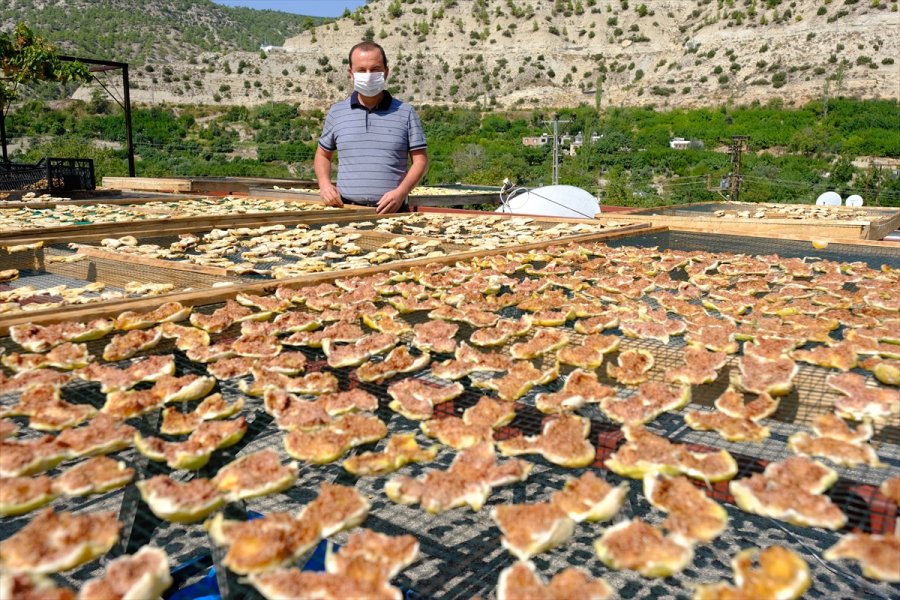 Mersin'de Beyaz İncir Üreticisinin Yüzünü Güldürüyor