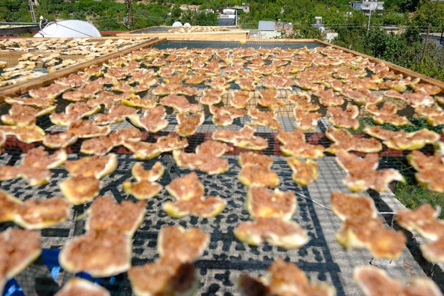 Mersin'de Beyaz İncir Üreticisinin Yüzünü Güldürüyor