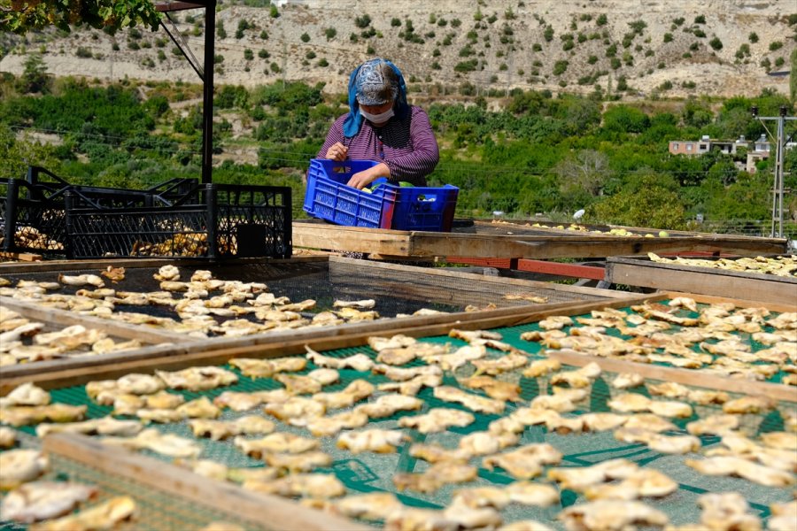 Mersin'de Beyaz İncir Üreticisinin Yüzünü Güldürüyor