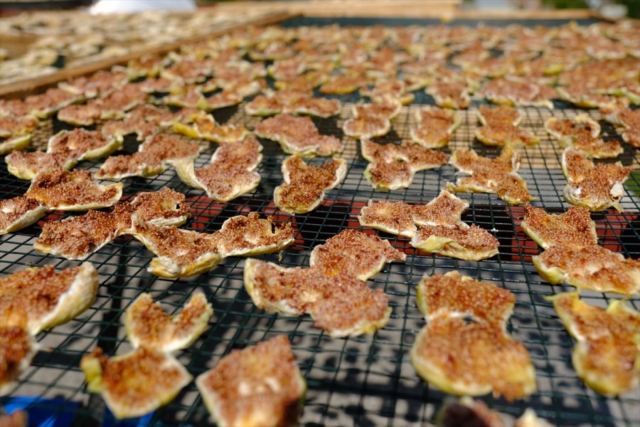 Mersin'de Beyaz İncir Üreticisinin Yüzünü Güldürüyor