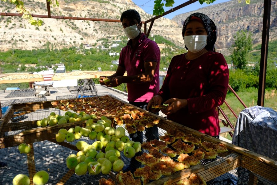 Mersin'de Beyaz İncir Üreticisinin Yüzünü Güldürüyor