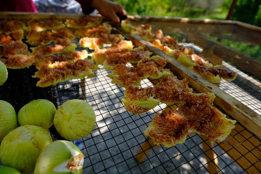 Mersin'de Beyaz İncir Üreticisinin Yüzünü Güldürüyor