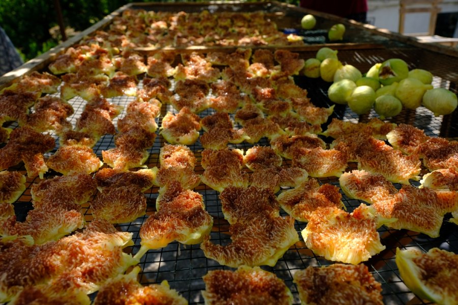 Mersin'de Beyaz İncir Üreticisinin Yüzünü Güldürüyor