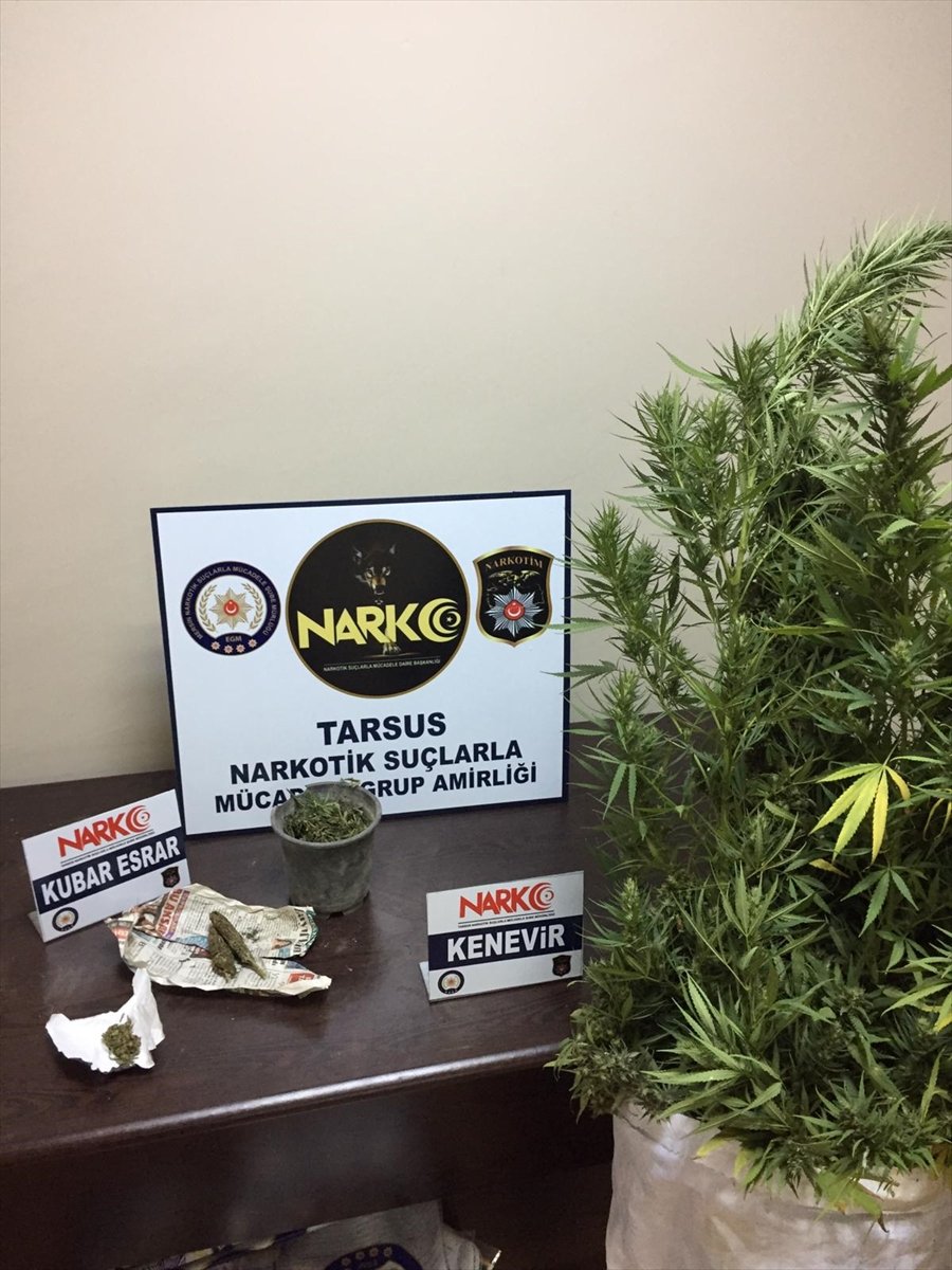 Mersin'de Uyuşturucu Operasyonlarında Yakalanan 2 Kişiden Biri Tutuklandı