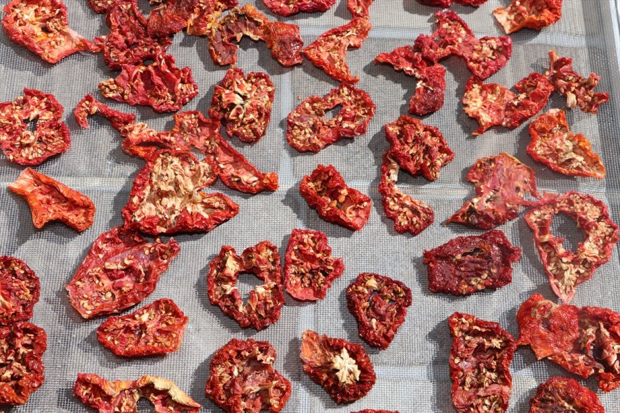 2 Bin Nüfuslu Beldede Kurulan Kooperatif Kadınlara Umut Oluyor