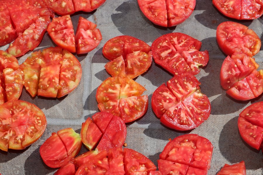 2 Bin Nüfuslu Beldede Kurulan Kooperatif Kadınlara Umut Oluyor