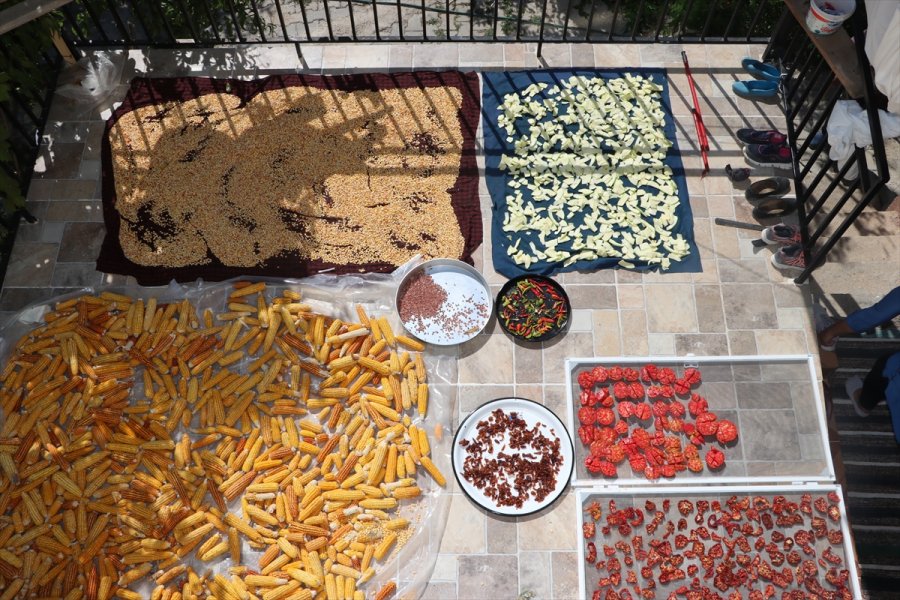 2 Bin Nüfuslu Beldede Kurulan Kooperatif Kadınlara Umut Oluyor