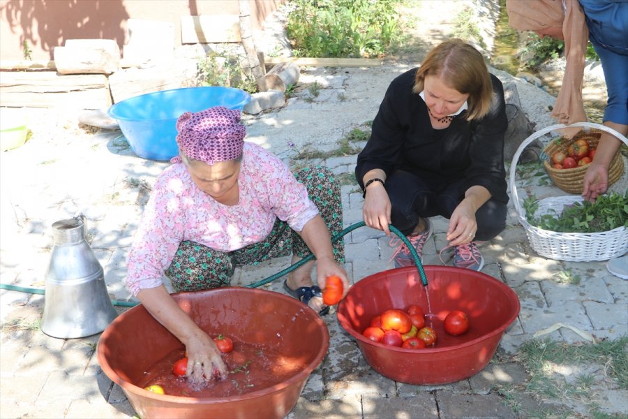 2 Bin Nüfuslu Beldede Kurulan Kooperatif Kadınlara Umut Oluyor